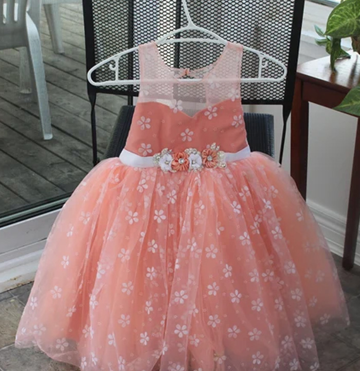 Peach Luxury Girl Dress The TJCollectibles
